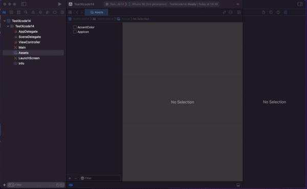 AppIcon Setting