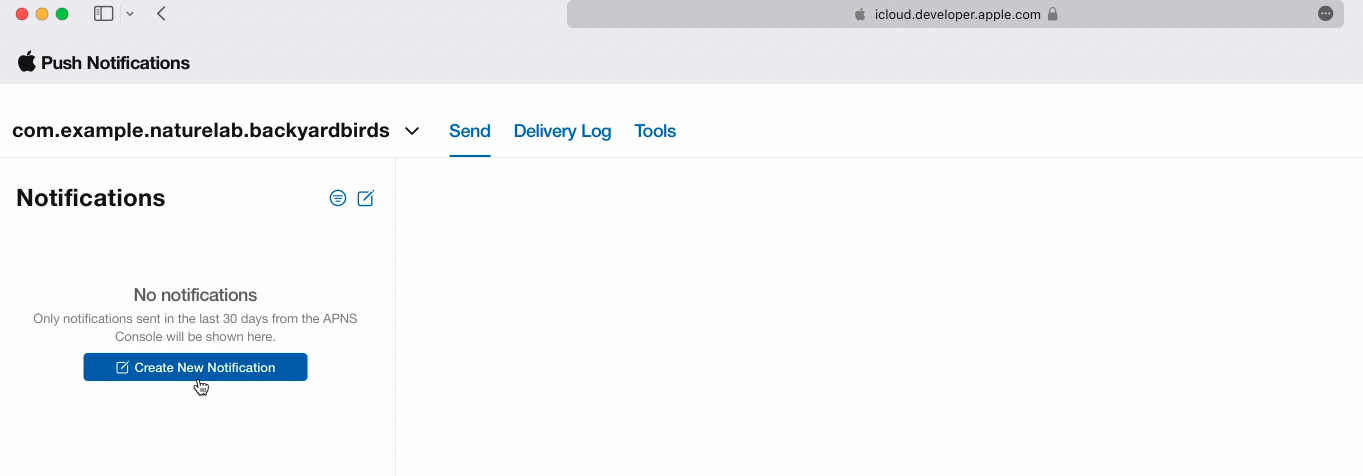 push notification console