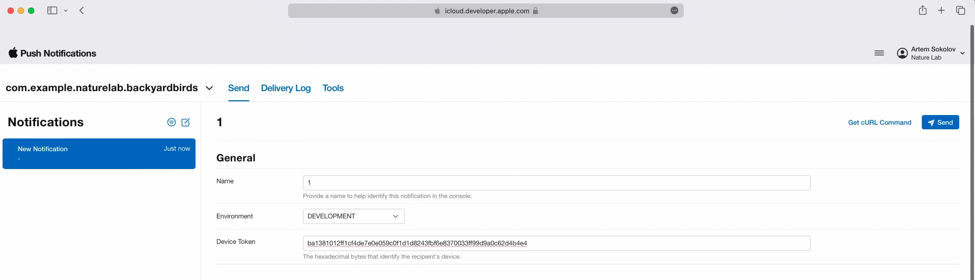 push notification console